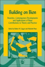 Building on Bion